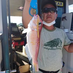 ARCADIAⅡ （アルカディアⅡ） 釣果