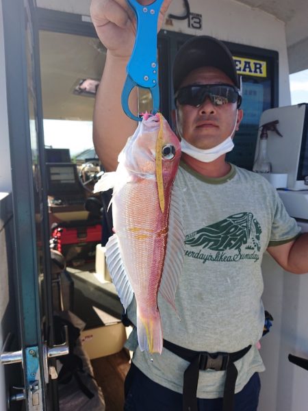 ARCADIAⅡ （アルカディアⅡ） 釣果