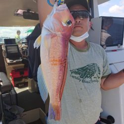 ARCADIAⅡ （アルカディアⅡ） 釣果