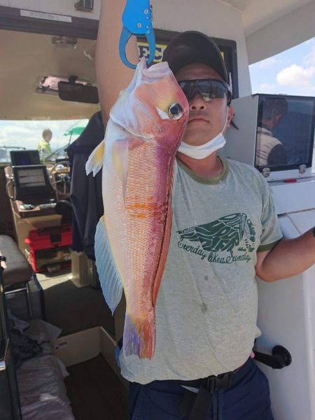 ARCADIAⅡ （アルカディアⅡ） 釣果