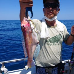 ARCADIAⅡ （アルカディアⅡ） 釣果