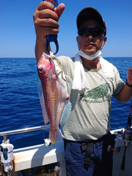 ARCADIAⅡ （アルカディアⅡ） 釣果