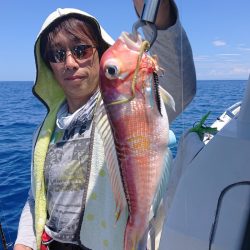 ARCADIAⅡ （アルカディアⅡ） 釣果