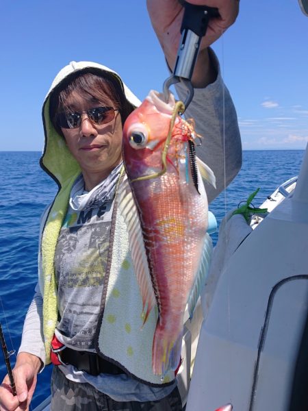 ARCADIAⅡ （アルカディアⅡ） 釣果