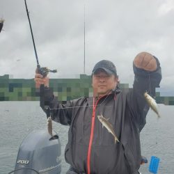 ソルトウォーターガイドフレンズ 釣果