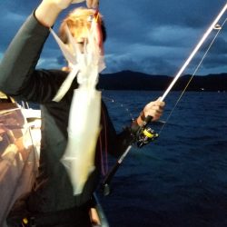 アマテラス 釣果