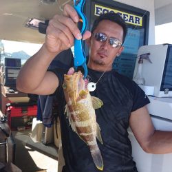 ARCADIAⅡ （アルカディアⅡ） 釣果