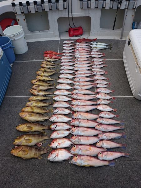 ARCADIAⅡ （アルカディアⅡ） 釣果