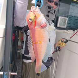 ARCADIAⅡ (アルカディアⅡ) 釣果