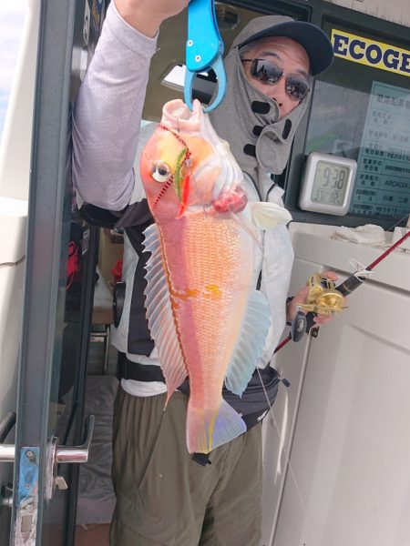 ARCADIAⅡ (アルカディアⅡ) 釣果