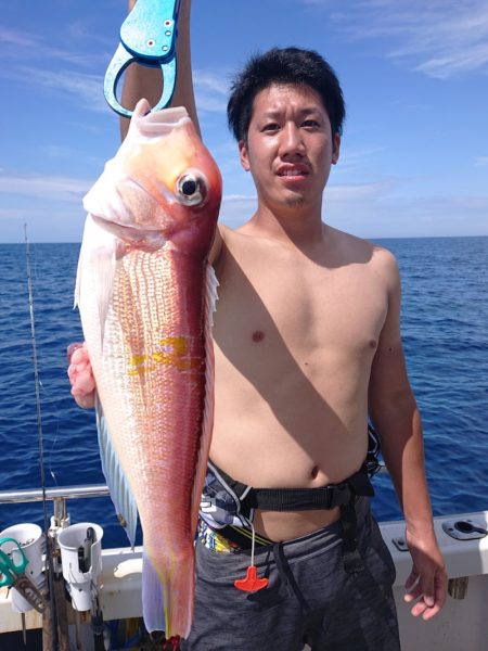 ARCADIAⅡ (アルカディアⅡ) 釣果