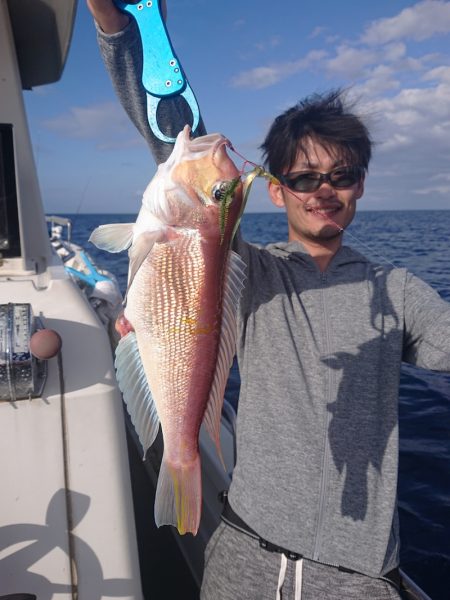 ARCADIAⅡ (アルカディアⅡ) 釣果