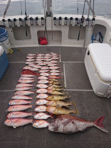 ARCADIAⅡ (アルカディアⅡ) 釣果