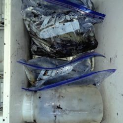 第二龍勢丸 釣果