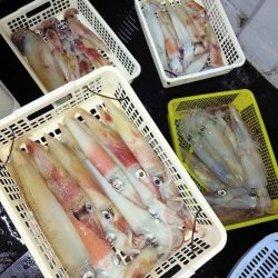 第二龍勢丸 釣果