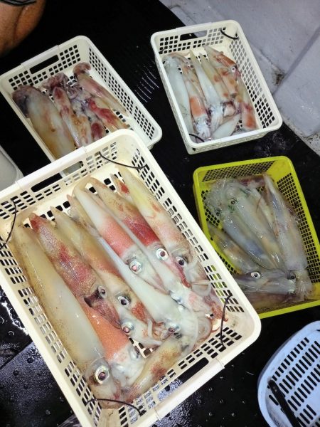 第二龍勢丸 釣果