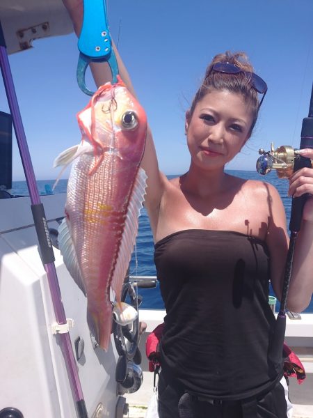 ARCADIAⅡ (アルカディアⅡ) 釣果