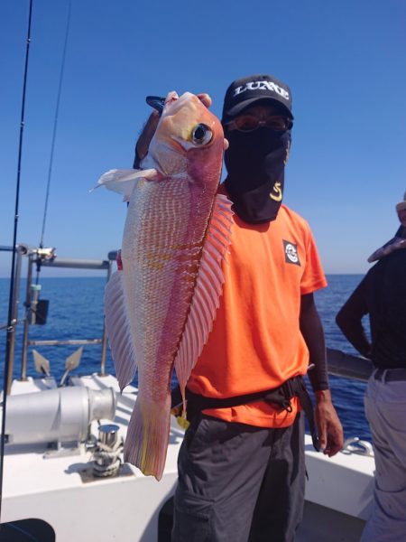 ARCADIAⅡ (アルカディアⅡ) 釣果