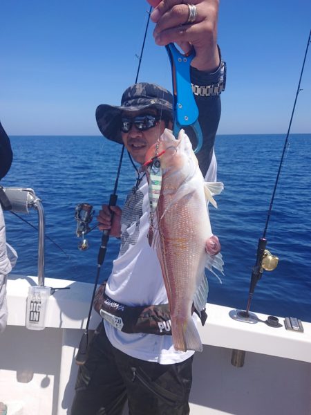 ARCADIAⅡ (アルカディアⅡ) 釣果