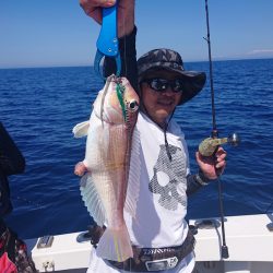 ARCADIAⅡ (アルカディアⅡ) 釣果