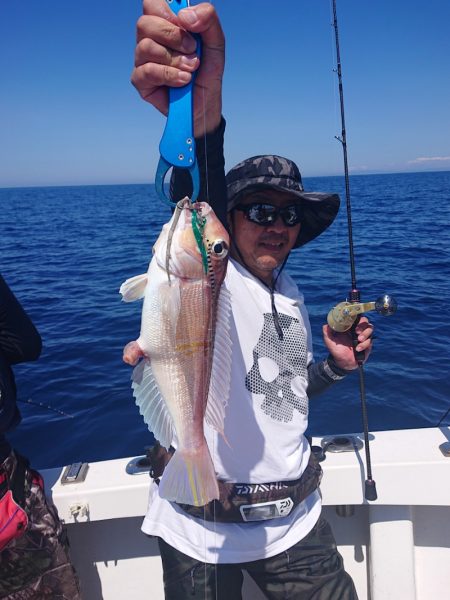 ARCADIAⅡ (アルカディアⅡ) 釣果