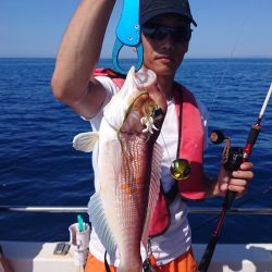 ARCADIAⅡ (アルカディアⅡ) 釣果