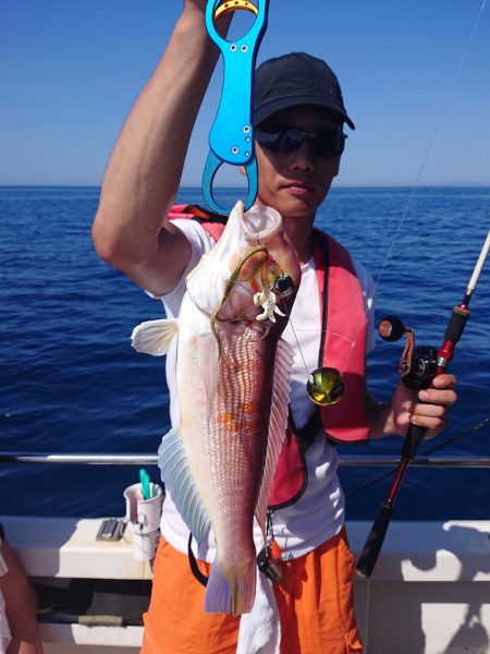 ARCADIAⅡ (アルカディアⅡ) 釣果