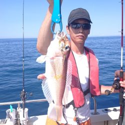 ARCADIAⅡ (アルカディアⅡ) 釣果