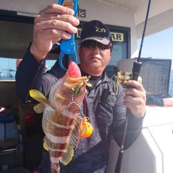 ARCADIAⅡ (アルカディアⅡ) 釣果