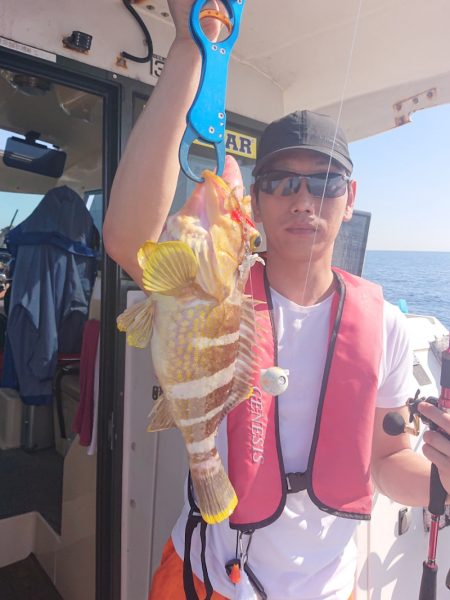 ARCADIAⅡ (アルカディアⅡ) 釣果