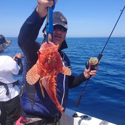 ARCADIAⅡ (アルカディアⅡ) 釣果