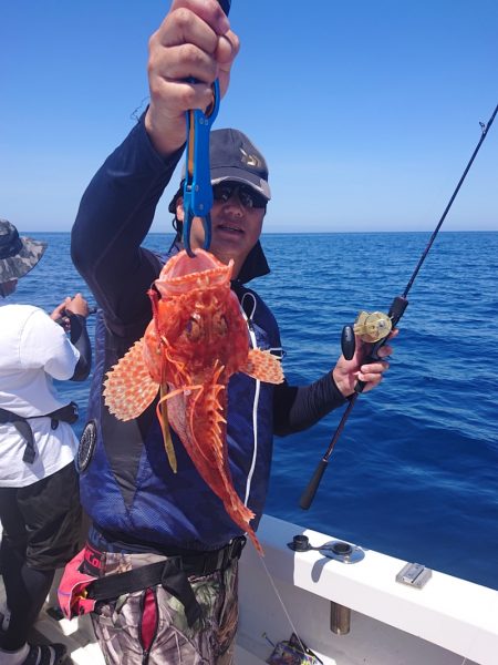 ARCADIAⅡ (アルカディアⅡ) 釣果