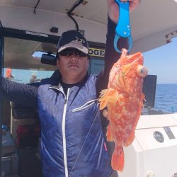 ARCADIAⅡ (アルカディアⅡ) 釣果