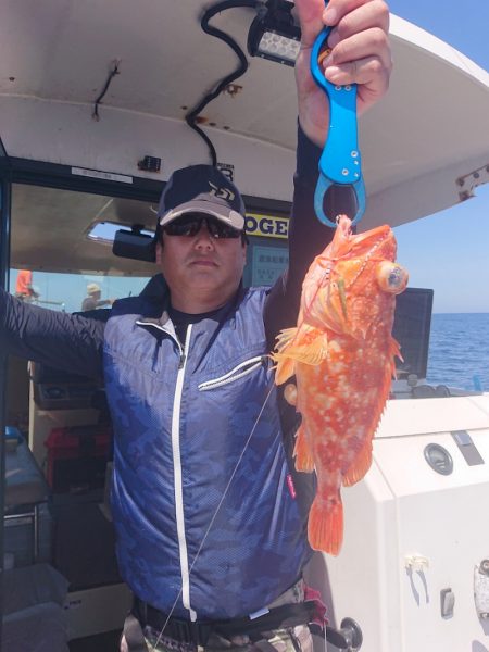 ARCADIAⅡ (アルカディアⅡ) 釣果