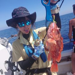 ARCADIAⅡ (アルカディアⅡ) 釣果