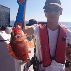 ARCADIAⅡ (アルカディアⅡ) 釣果