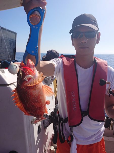 ARCADIAⅡ (アルカディアⅡ) 釣果