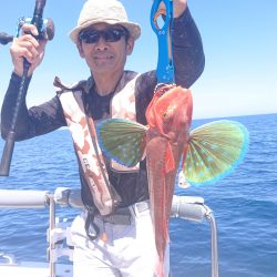 ARCADIAⅡ (アルカディアⅡ) 釣果