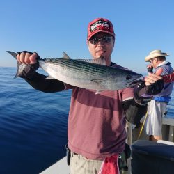 エンペラー 釣果