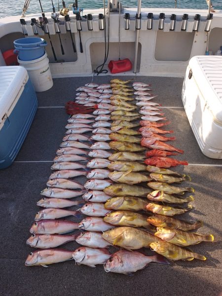 ARCADIAⅡ （アルカディアⅡ） 釣果…