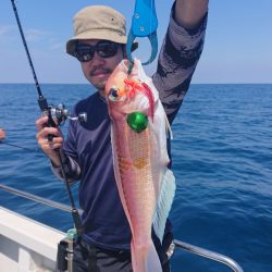 ARCADIAⅡ (アルカディアⅡ) 釣果