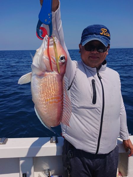 ARCADIAⅡ (アルカディアⅡ) 釣果