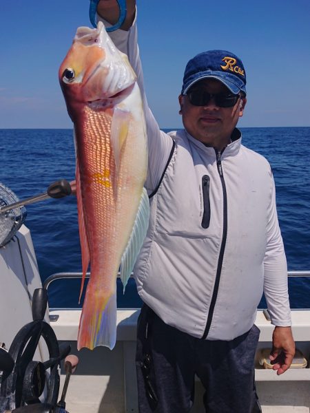 ARCADIAⅡ (アルカディアⅡ) 釣果