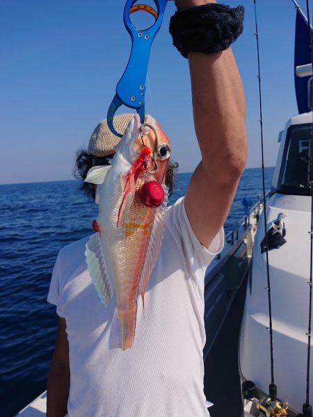 ARCADIAⅡ (アルカディアⅡ) 釣果