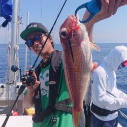 ARCADIAⅡ (アルカディアⅡ) 釣果