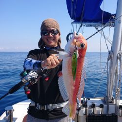 ARCADIAⅡ (アルカディアⅡ) 釣果