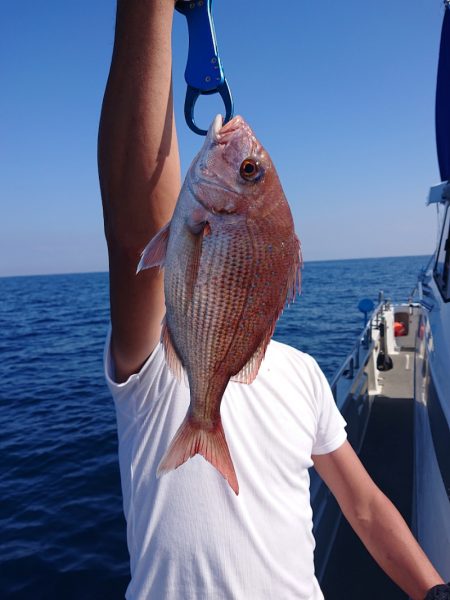 ARCADIAⅡ (アルカディアⅡ) 釣果