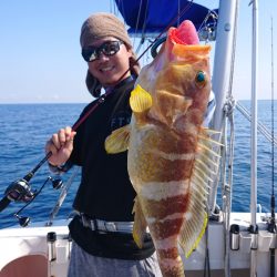 ARCADIAⅡ (アルカディアⅡ) 釣果