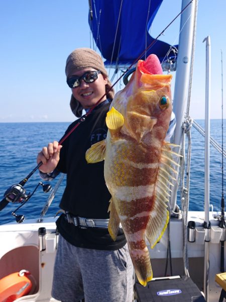 ARCADIAⅡ (アルカディアⅡ) 釣果