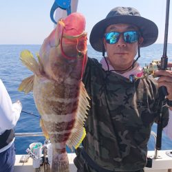 ARCADIAⅡ (アルカディアⅡ) 釣果